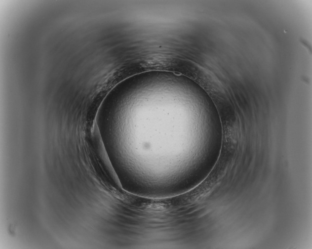 X0000091180751200708161517