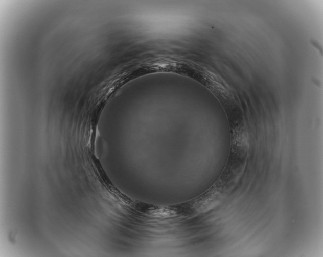 X0000091180754200708161517