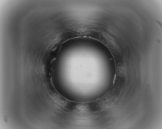 X0000091180756200708161518