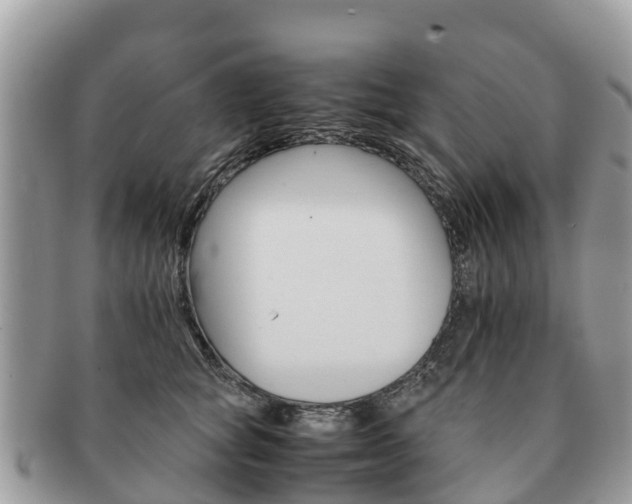X0000091180757200708161518