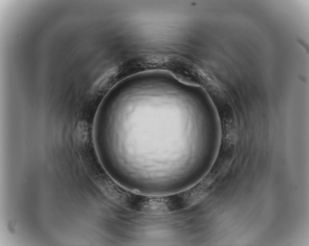 X0000091180758200708161518