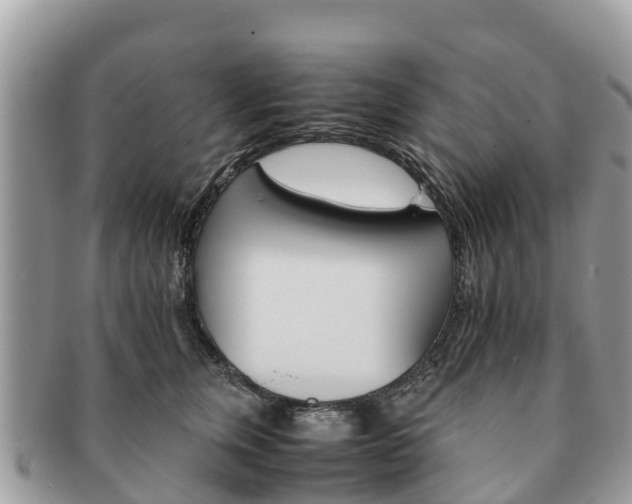 X0000091180759200708161518