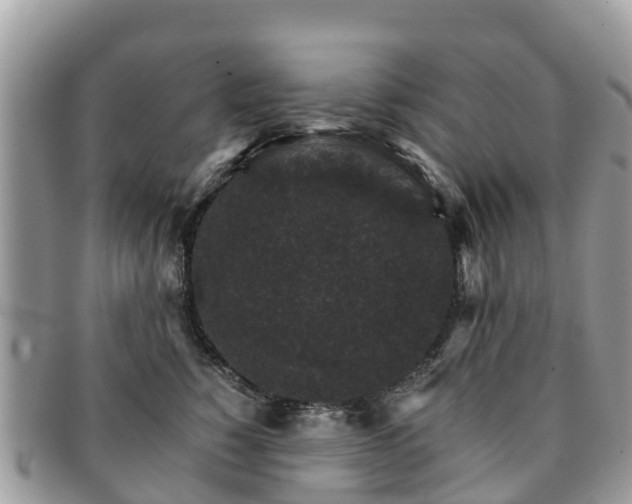 X0000091180760200708161518