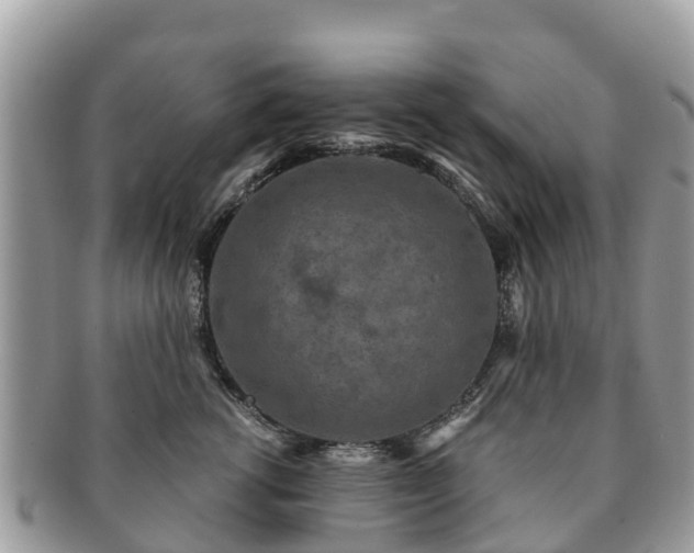 X0000091180762200708161518