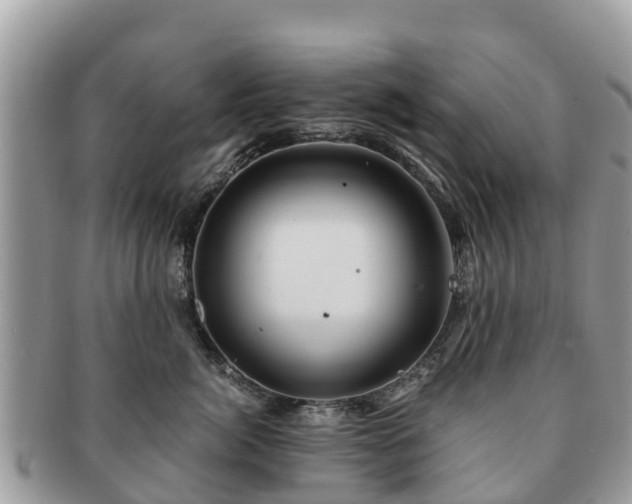 X0000091180764200708161518
