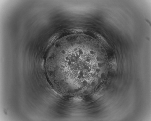 X0000091180765200708161518