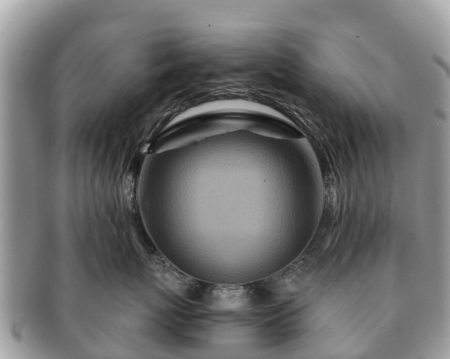 X0000091180767200708161518