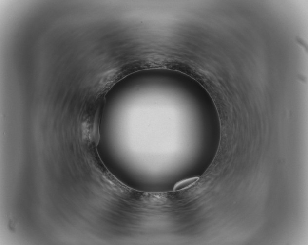 X0000091180768200708161518