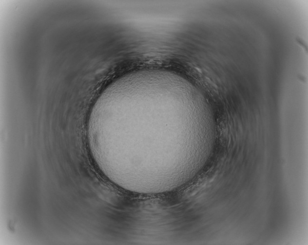 X0000091180769200708161517