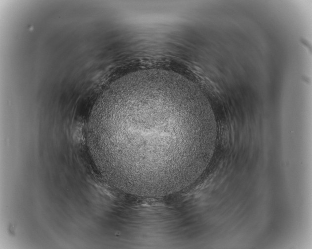 X0000091180770200708161517