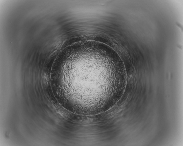 X0000091180772200708161517