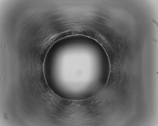 X0000091180773200708161517
