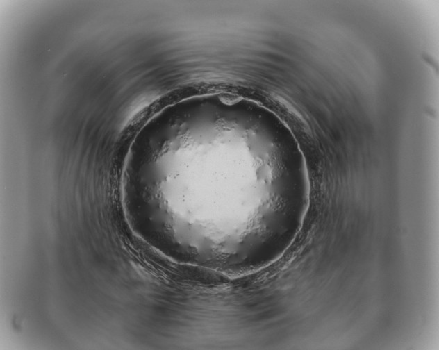 X0000091180775200708161517