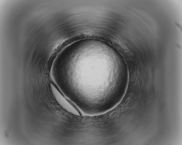 X0000091180776200708161517