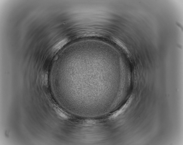 X0000091180777200708161517