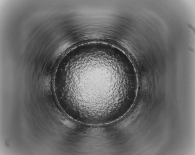 X0000091180778200708161517