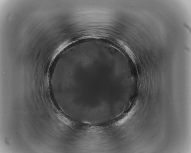 X0000091180779200708161517
