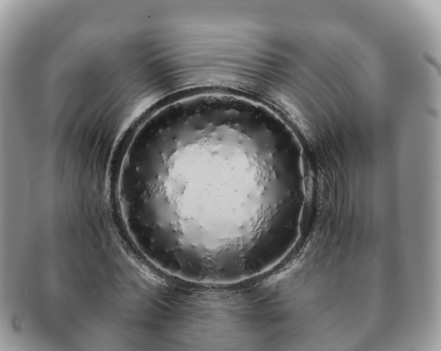 X0000091180780200708161517