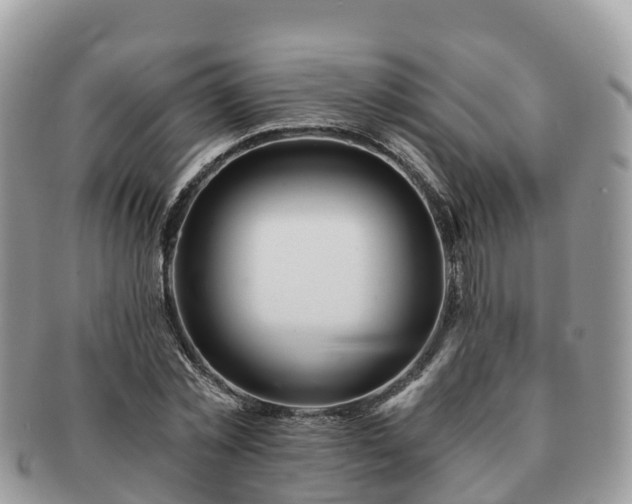 X0000091180781200708161517