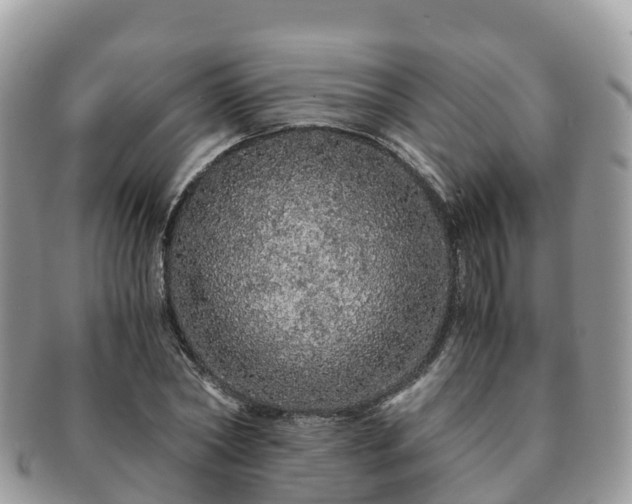 X0000091180782200708161517