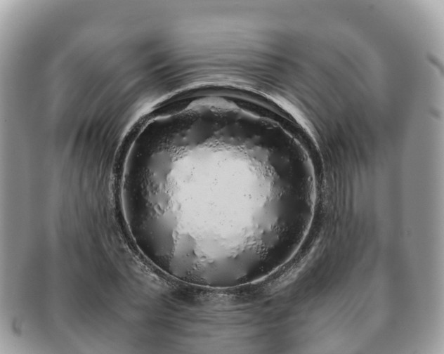 X0000091180783200708161517