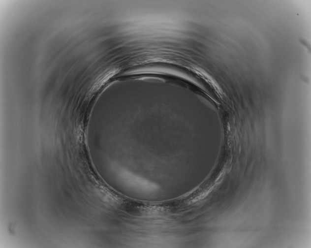X0000091180785200708161517