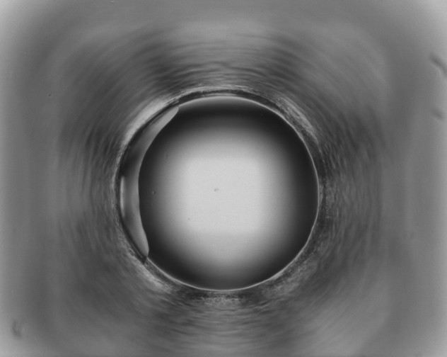 X0000091180789200708161517