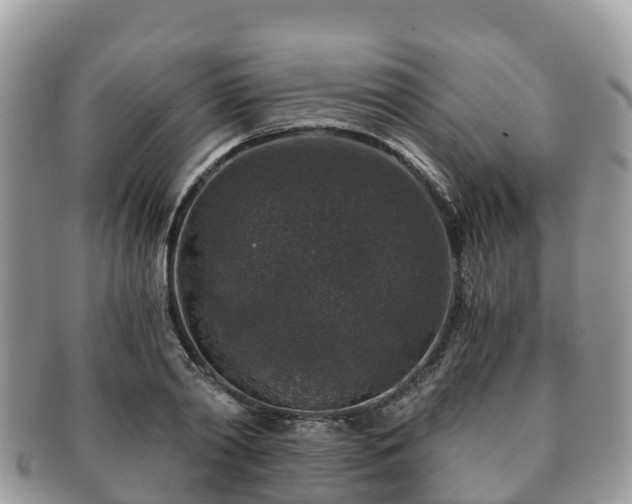X0000091180790200708161517