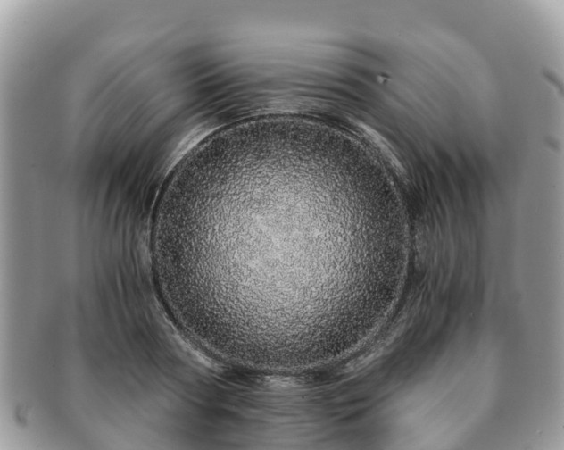 X0000091180794200708161517