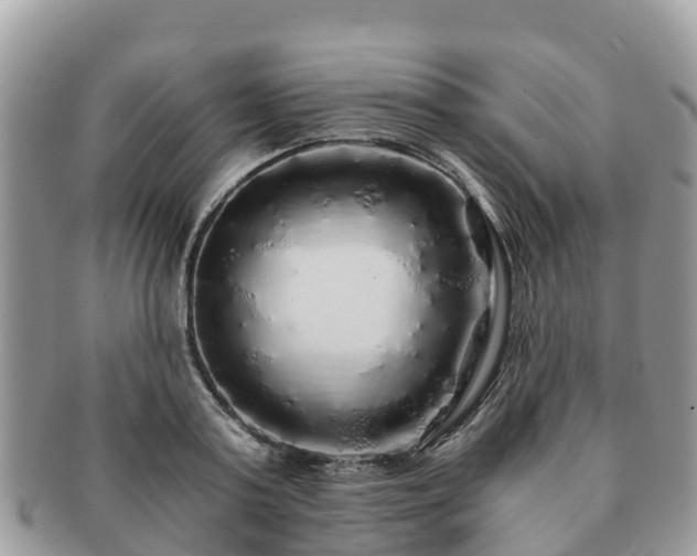 X0000091180795200708161517