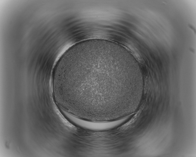 X0000091180796200708161517