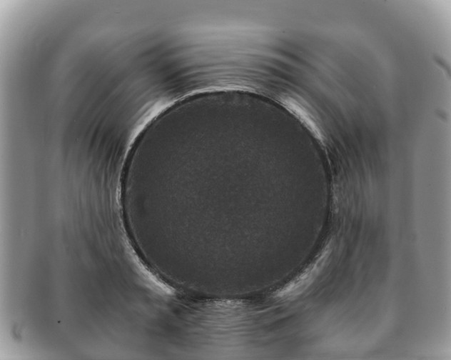 X0000091180797200708161517