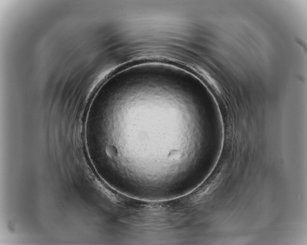 X0000091180799200708161517