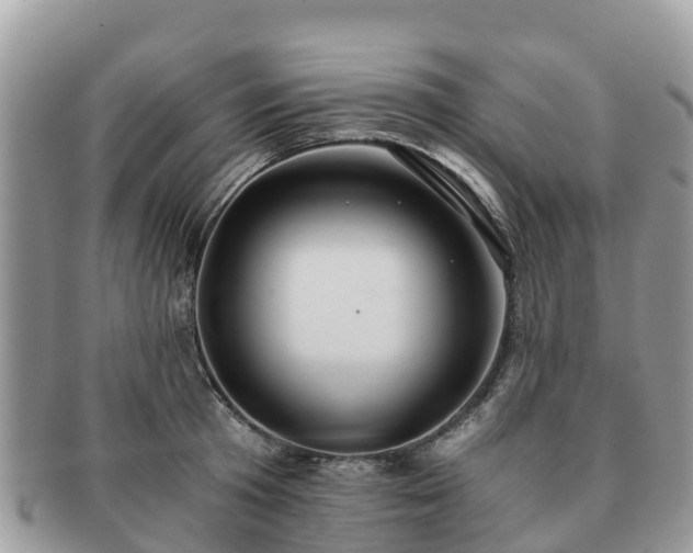 X0000091180801200708161517