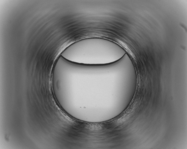 X0000091180802200708161517