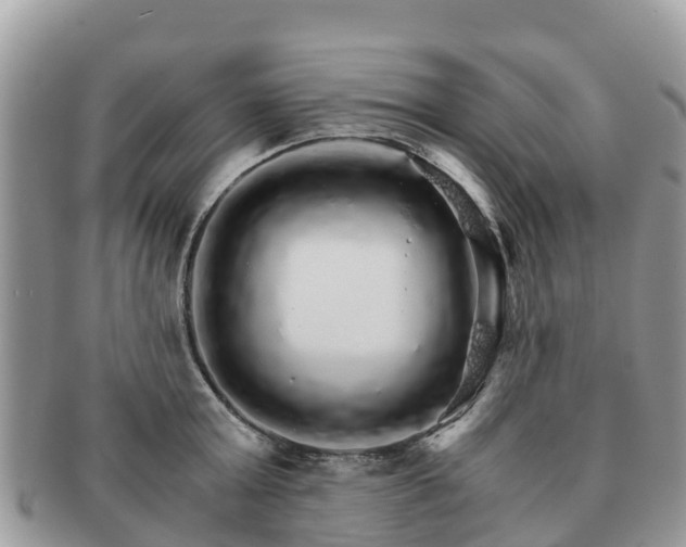 X0000091180803200708161517