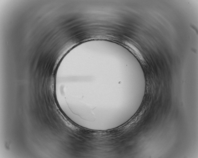 X0000091180804200708161517