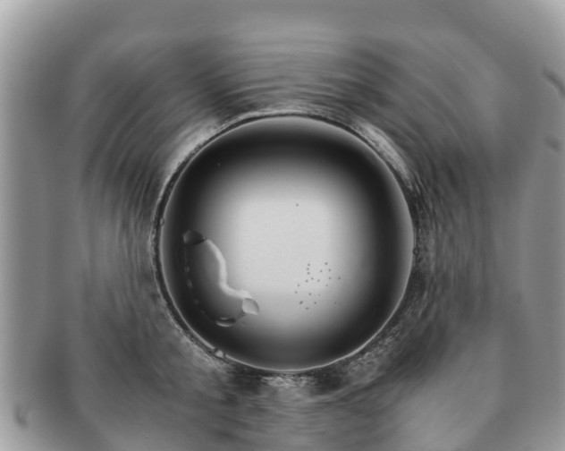 X0000091180805200708161517