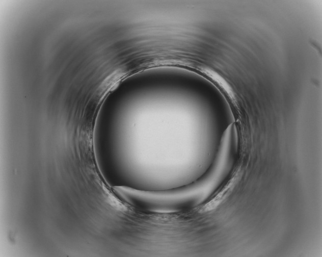 X0000091180809200708161517