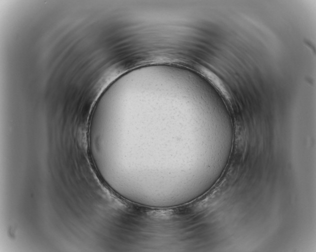 X0000091180810200708161517