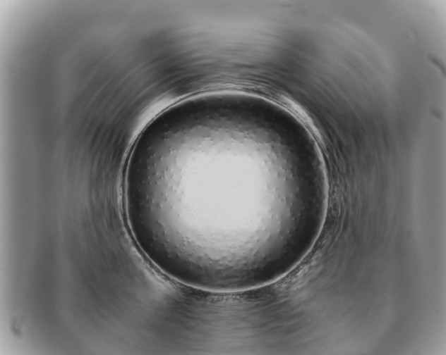 X0000091180811200708161517