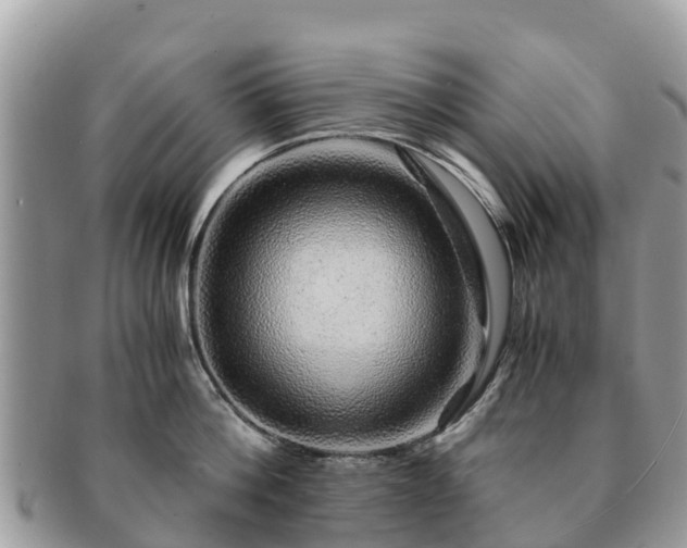 X0000091180812200708161517