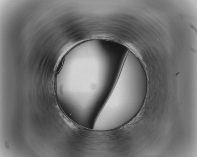 X0000091180816200708161517