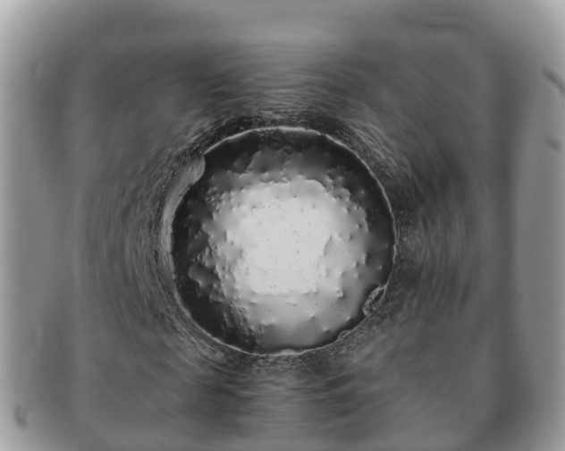 X0000091180817200708161516