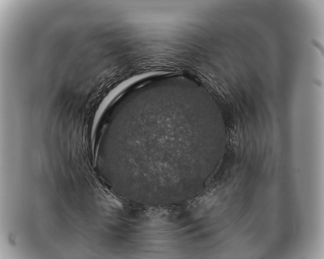X0000091180818200708161516