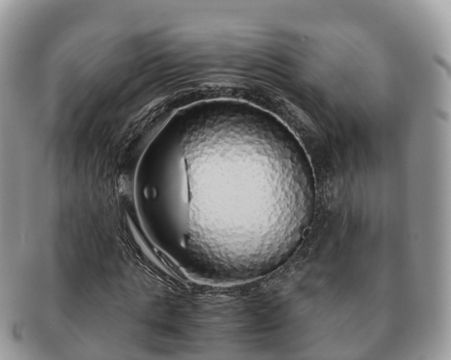 X0000091180821200708161516