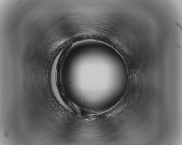 X0000091180822200708161516