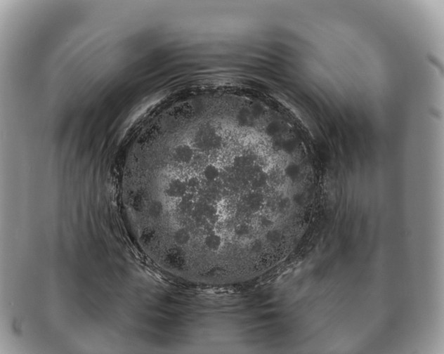 X0000091180823200708161516