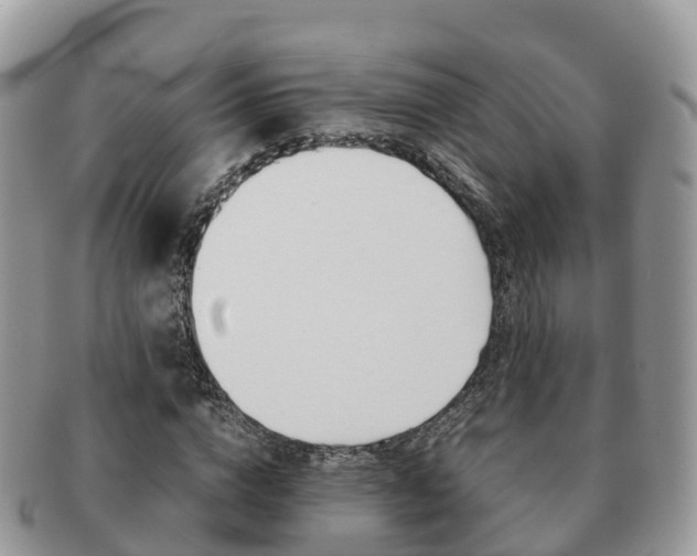 X0000091180824200708161516