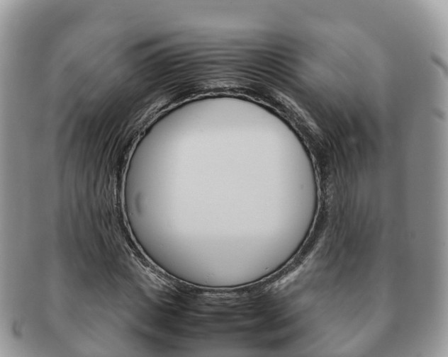 X0000091180825200708161516